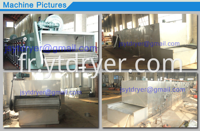 Mesh Belt Drying Machine/Turnip Strip Dryer